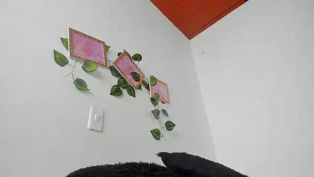 Evelin_miller97 from StripChat