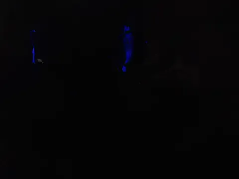 Gabby-Kinky — anal hard