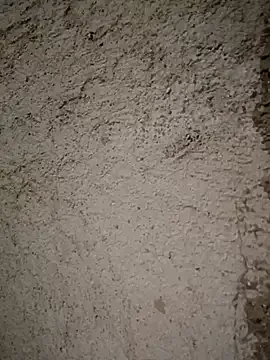 Avatar of Giselabrunette25