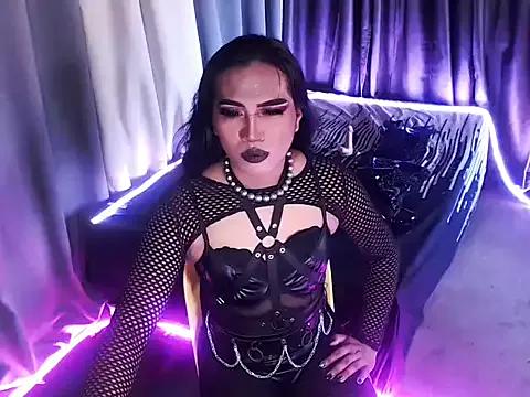 Try our girls live displays and explore the company of endless strippers, with beautiful physiques, vibrating toys and more.