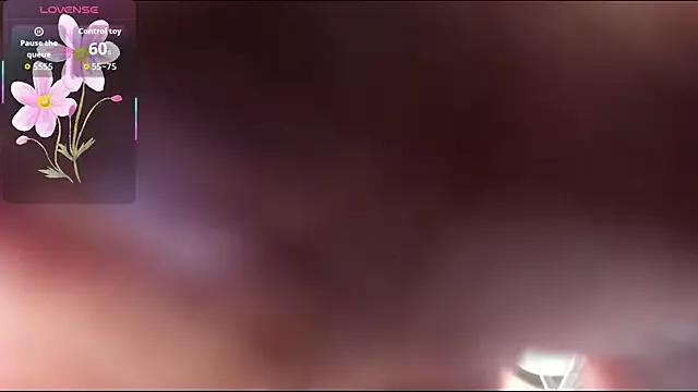 Try our girls live displays and explore the company of endless strippers, with beautiful physiques, vibrating toys and more.