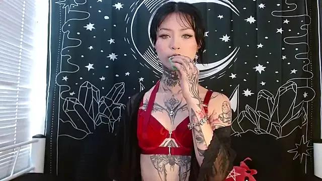 Try our girls live displays and explore the company of endless strippers, with beautiful physiques, vibrating toys and more.