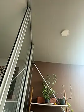 Avatar of itsdanividarte