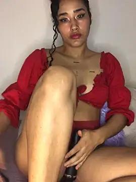 Try our girls live displays and explore the company of endless strippers, with beautiful physiques, vibrating toys and more.