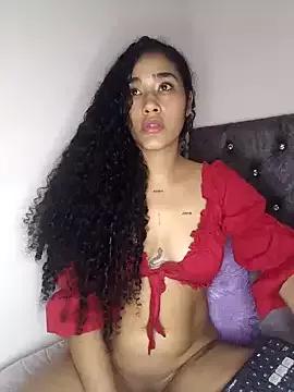 Try our girls live displays and explore the company of endless strippers, with beautiful physiques, vibrating toys and more.