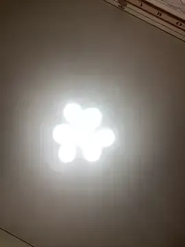 Janet_Welder's avatar