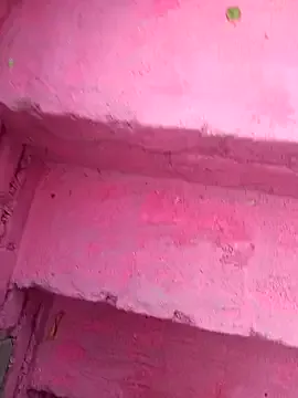 Avatar of Janvi_babby