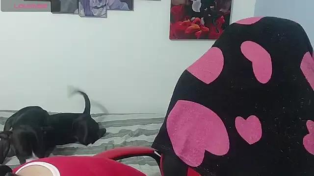 Try our girls live displays and explore the company of endless strippers, with beautiful physiques, vibrating toys and more.