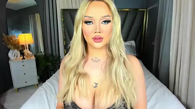 Try our girls live displays and explore the company of endless strippers, with beautiful physiques, vibrating toys and more.
