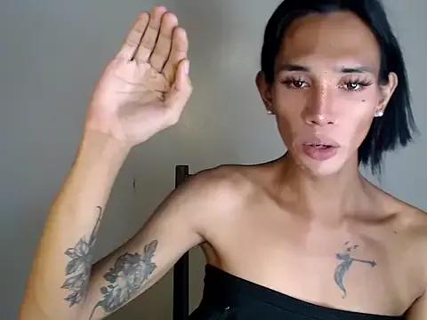 Try our girls live displays and explore the company of endless strippers, with beautiful physiques, vibrating toys and more.