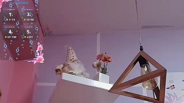 Try our girls live displays and explore the company of endless strippers, with beautiful physiques, vibrating toys and more.