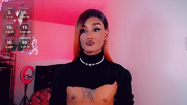 Try our girls live displays and explore the company of endless strippers, with beautiful physiques, vibrating toys and more.