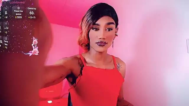Try our girls live displays and explore the company of endless strippers, with beautiful physiques, vibrating toys and more.
