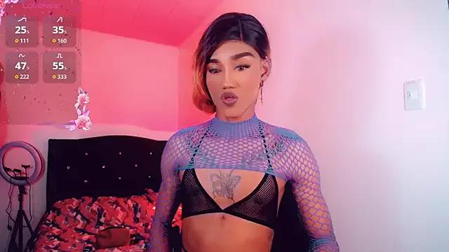 Try our girls live displays and explore the company of endless strippers, with beautiful physiques, vibrating toys and more.