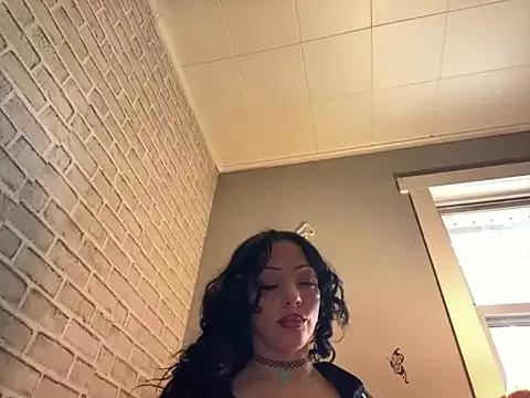 Try our girls live displays and explore the company of endless strippers, with beautiful physiques, vibrating toys and more.