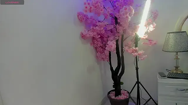 Avatar of KendalStallyon