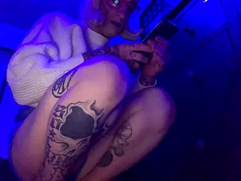 Try our girls live displays and explore the company of endless strippers, with beautiful physiques, vibrating toys and more.