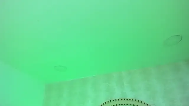 Avatar of LaylaaDoll