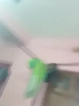 Avatar of Lexi_Baby_