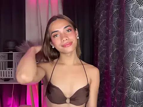 Try our girls live displays and explore the company of endless strippers, with beautiful physiques, vibrating toys and more.