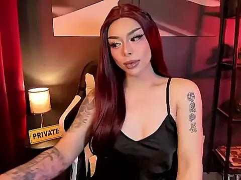 Try our girls live displays and explore the company of endless strippers, with beautiful physiques, vibrating toys and more.