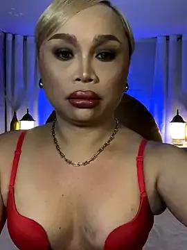 Try our girls live displays and explore the company of endless strippers, with beautiful physiques, vibrating toys and more.