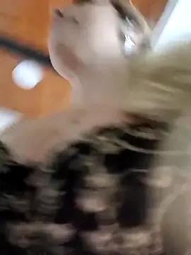 madelaine- from StripChat is Freechat