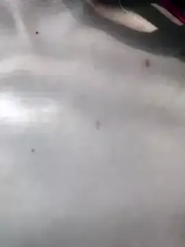 Avatar of Maiden-Hot