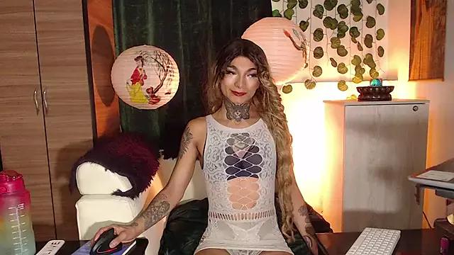 Try our girls live displays and explore the company of endless strippers, with beautiful physiques, vibrating toys and more.