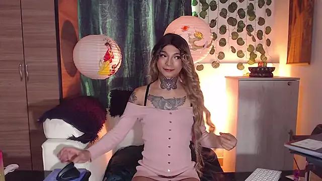 Try our girls live displays and explore the company of endless strippers, with beautiful physiques, vibrating toys and more.