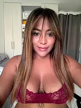 Try our girls live displays and explore the company of endless strippers, with beautiful physiques, vibrating toys and more.
