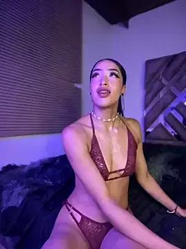 Try our girls live displays and explore the company of endless strippers, with beautiful physiques, vibrating toys and more.