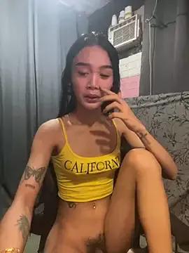 Try our girls live displays and explore the company of endless strippers, with beautiful physiques, vibrating toys and more.