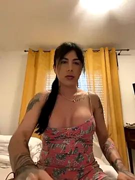 Try our girls live displays and explore the company of endless strippers, with beautiful physiques, vibrating toys and more.