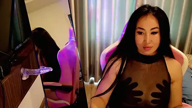 Try our girls live displays and explore the company of endless strippers, with beautiful physiques, vibrating toys and more.