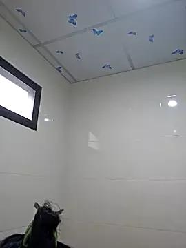 Try our girls live displays and explore the company of endless strippers, with beautiful physiques, vibrating toys and more.