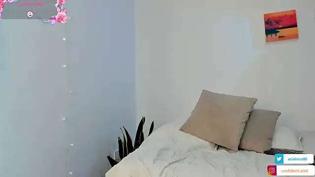 Avatar of NiceAriel_