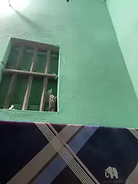 Night_owl111 — Freechat on StripChat