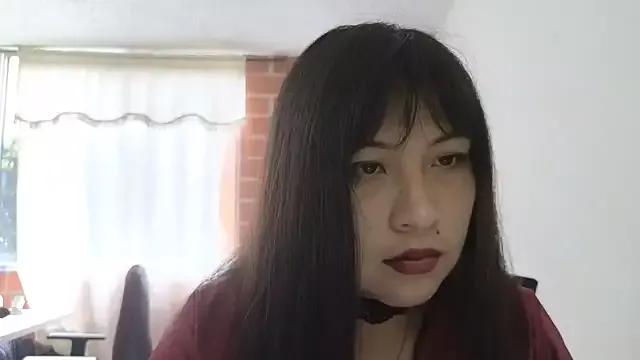 Try our girls live displays and explore the company of endless strippers, with beautiful physiques, vibrating toys and more.