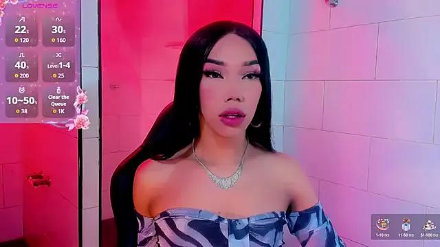 Try our girls live displays and explore the company of endless strippers, with beautiful physiques, vibrating toys and more.