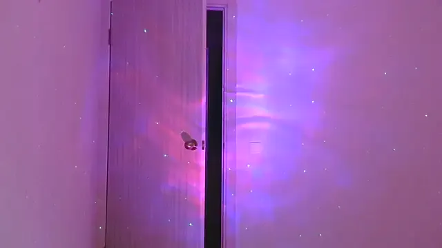 Omivelle — Cat food