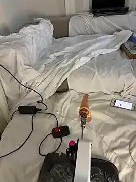 Try our girls live displays and explore the company of endless strippers, with beautiful physiques, vibrating toys and more.