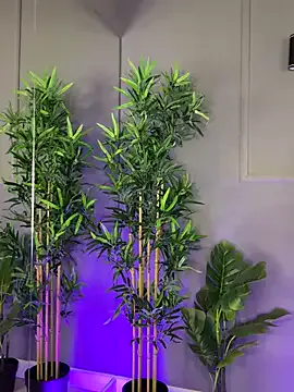 Avatar of PatriciaSpice