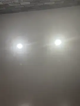 Avatar of Poppy_frankie