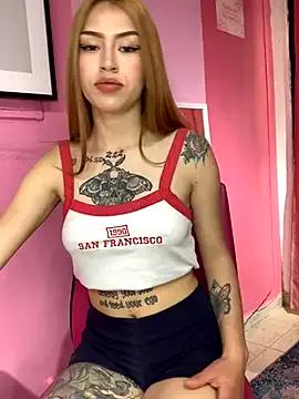 Try our girls live displays and explore the company of endless strippers, with beautiful physiques, vibrating toys and more.
