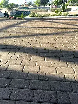 Avatar of princesaliay