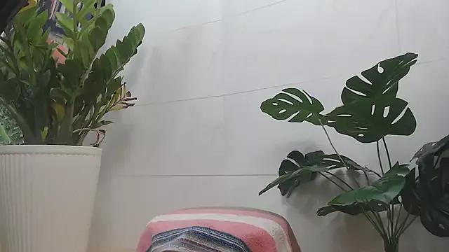 Try our girls live displays and explore the company of endless strippers, with beautiful physiques, vibrating toys and more.