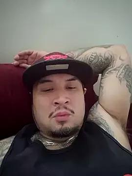 Try our girls live displays and explore the company of endless strippers, with beautiful physiques, vibrating toys and more.