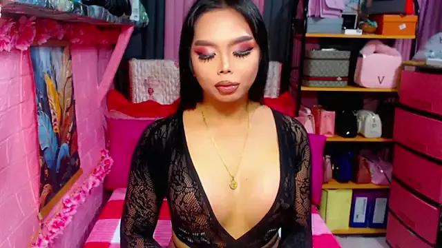 Try our girls live displays and explore the company of endless strippers, with beautiful physiques, vibrating toys and more.