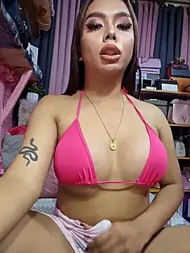 Try our girls live displays and explore the company of endless strippers, with beautiful physiques, vibrating toys and more.